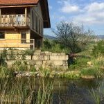 Wildbienengarten